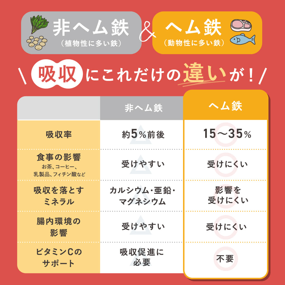 ヘム鉄プラス《 新発売!ヘム鉄と亜鉛・ビタミンB6・ビタミンDをバランス良く配合 》