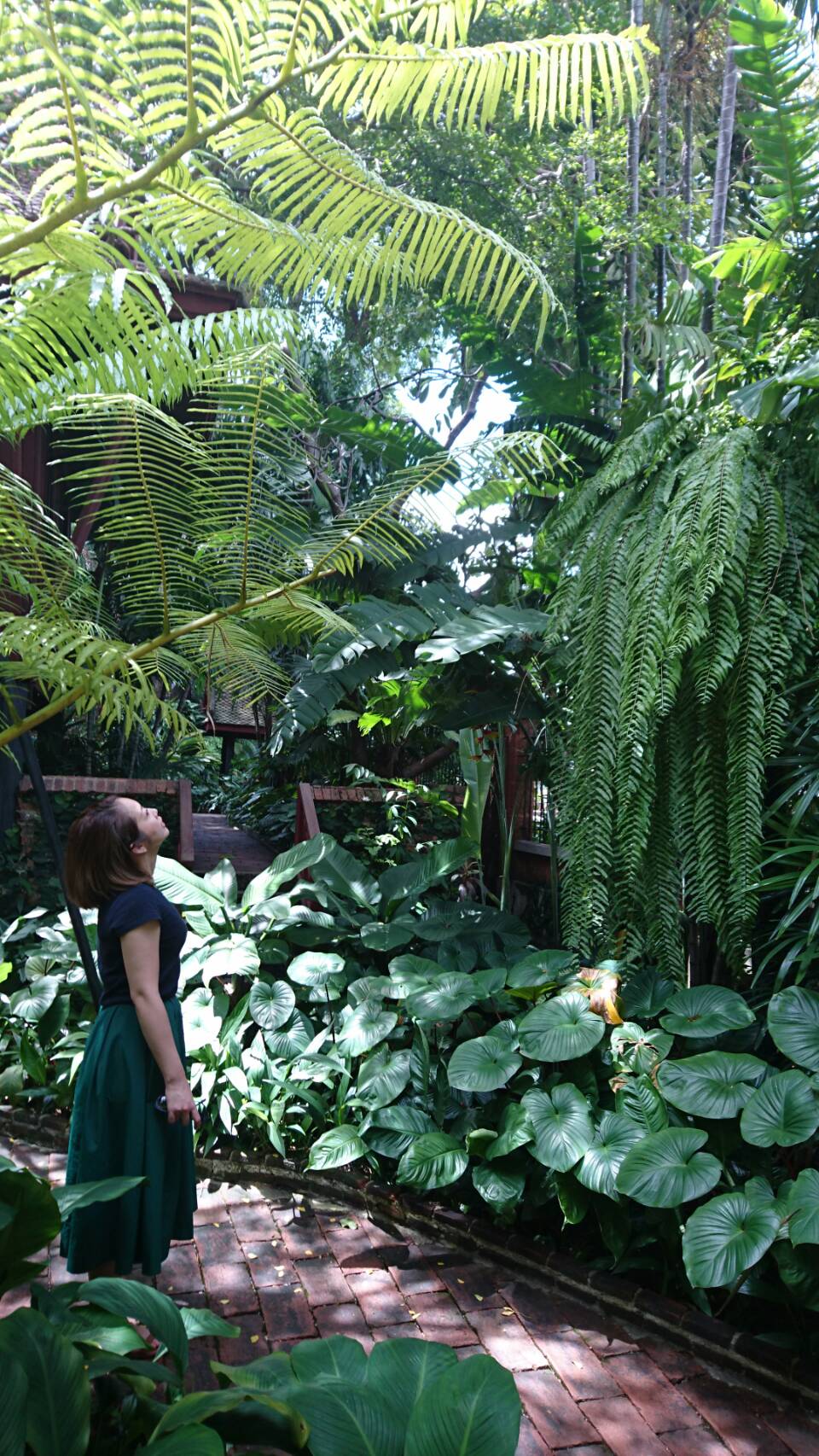 MAJOR (マジョール) 薬用クリーム