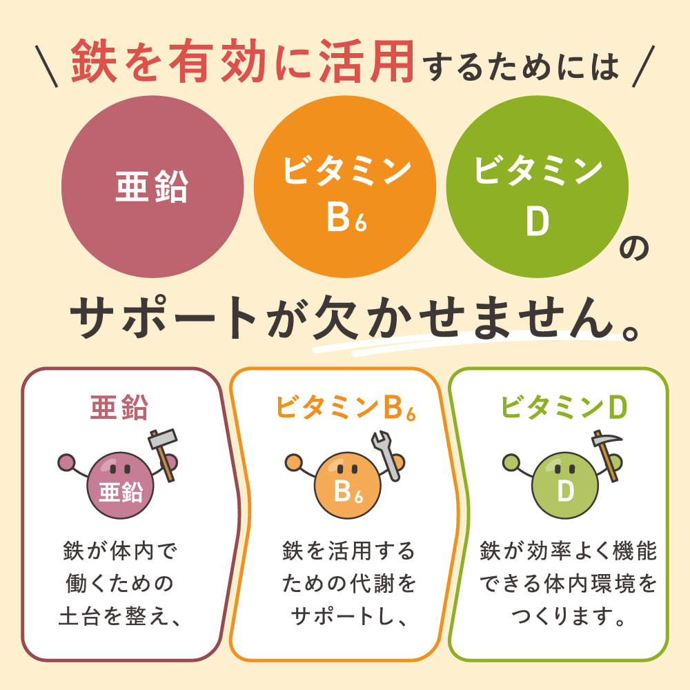 ヘム鉄プラス《 新発売！ヘム鉄と亜鉛・ビタミンB6・ビタミンDをバランス良く配合 》